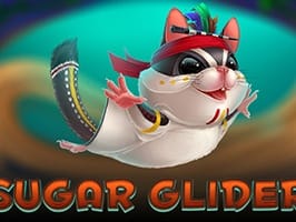 Sugar Glider screenshot